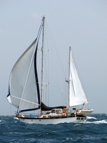 Monohull Sailboats For Sale